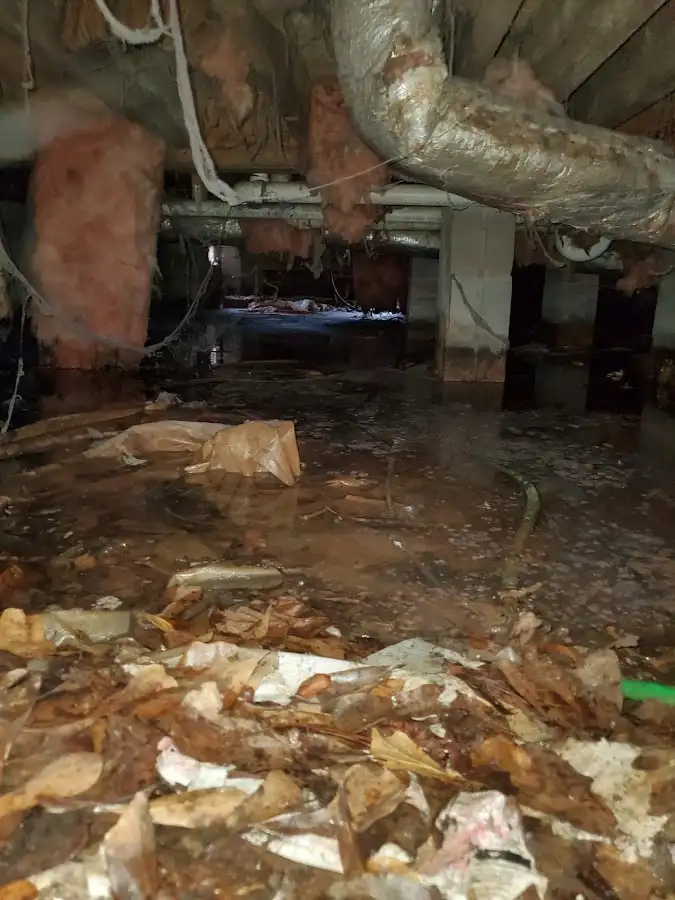 Crawl space flood assessment for Leak Detection & Repair in Pasadena Hills
